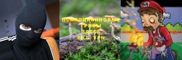 кристаллы Бородино