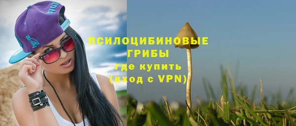индика Бугульма
