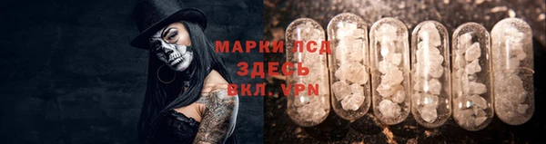 индика Бугульма