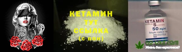 индика Бугульма