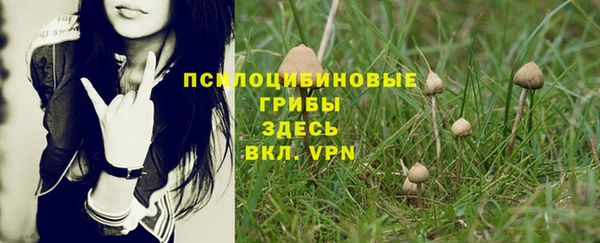 кристаллы Бородино