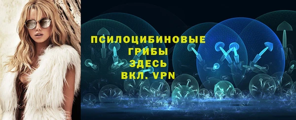 индика Бугульма