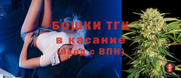 индика Бугульма